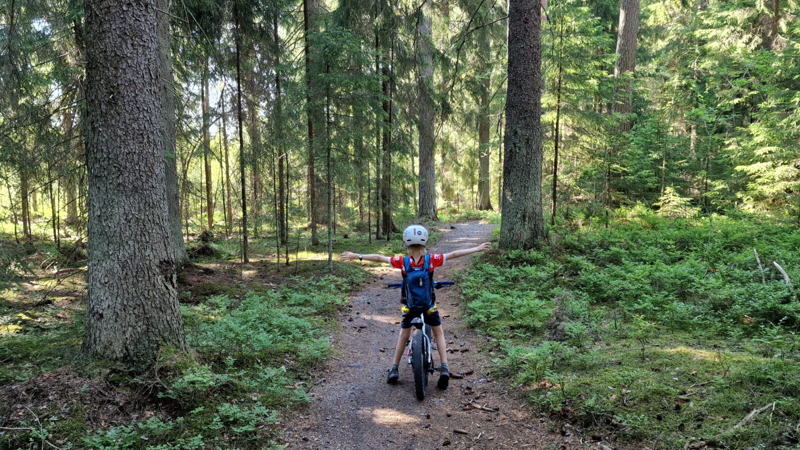 Kuvituskuva, jossa näkyy metsämaisema sekä lapsi pyörän kanssa metsäpolulla.